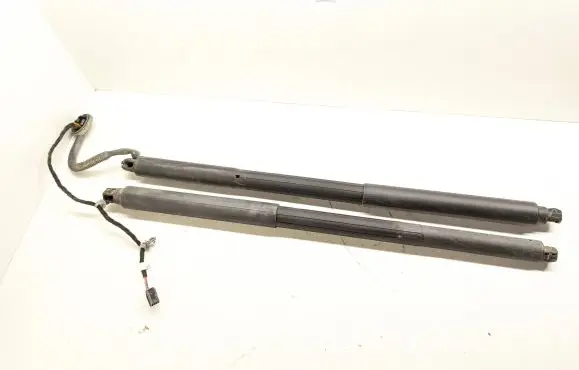 Tailgate strut