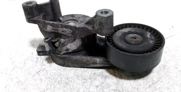 Skoda Octavia Mk2 (1Z) Alternator belt tensioner 03G903315 03G903315A