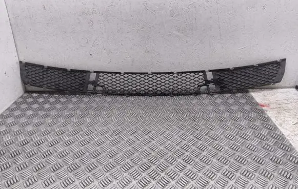 BMW X3 E83 Front bumper lower grill 3400908 013478