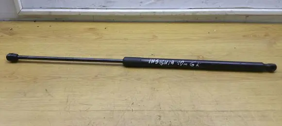 Opel Insignia A Tailgate/trunk strut/damper 315005777