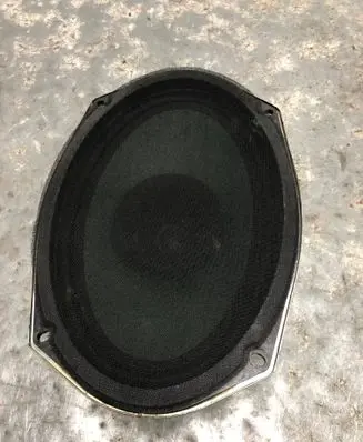 Rear door speaker