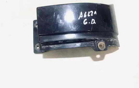 Rear/tail light trim molding