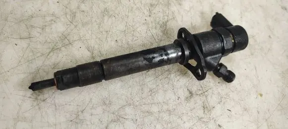 Volvo V70 Fuel injector 0445110078