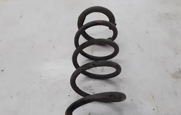Dacia Lodgy Front coil spring 540101908R