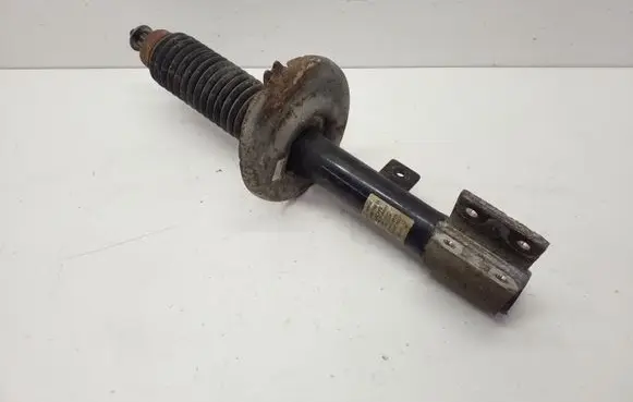 Citroen Berlingo Front shock absorber/damper 9684067780 824904004341