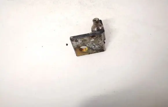 Fiat Stilo Rear door lower hinge