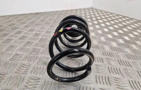 Rear coil spring