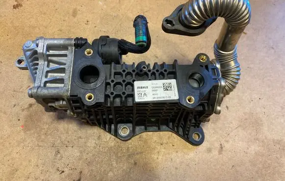 EGR valve cooler