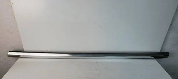 Tesla Model 3 Front door trim (molding) 1080681-00-E