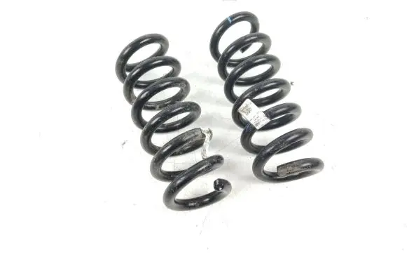 Ford Mustang Mach-E Rear coil spring LJ9C5560ANE