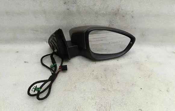 Volkswagen PASSAT B7 Front door electric wing mirror E1012522 SAEE208F5