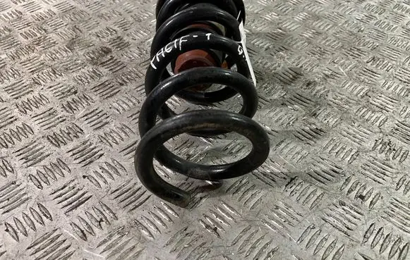 Chrysler Pacifica Rear coil spring 68231034AA