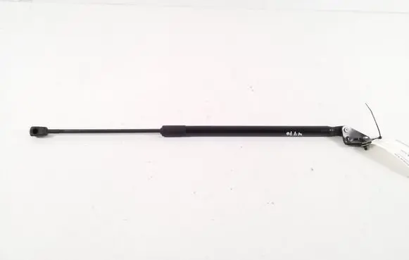 Nissan Leaf II (ZE1) Tailgate strut 904505SH0B