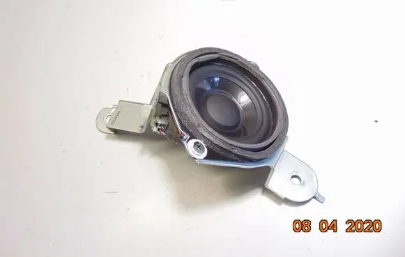 Rear door speaker