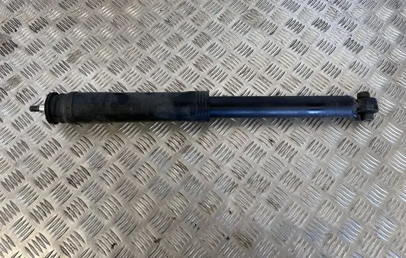 Toyota Mirai Rear shock absorber/damper 4853062010