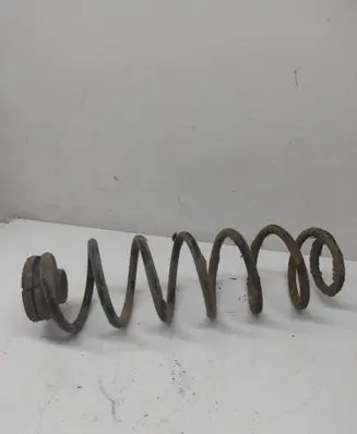 Rear coil spring