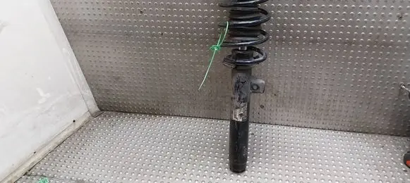 BMW X1 E84 Front shock absorber with coil spring 6855240
