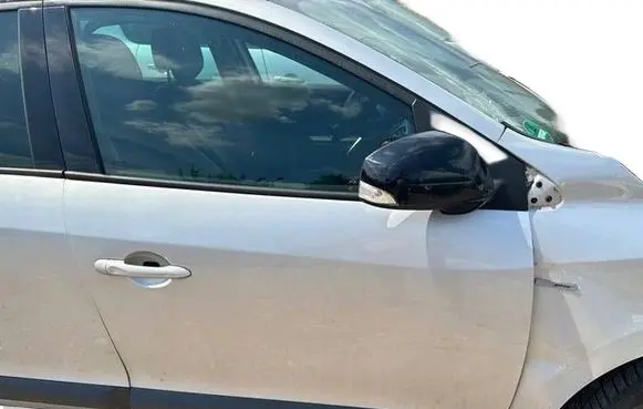 Renault Megane III Front door 
