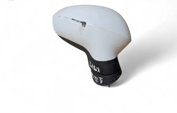 Front door electric wing mirror