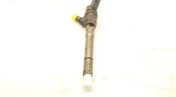 Hyundai Santa Fe Fuel injector 0445110064