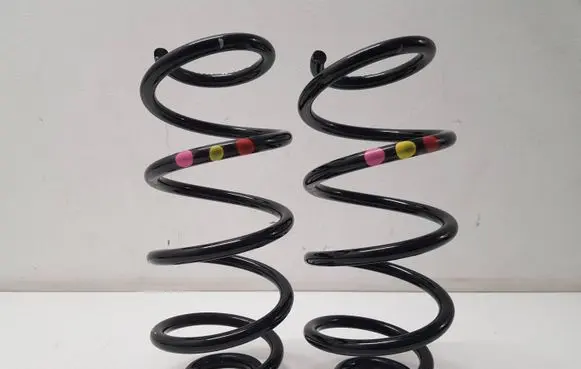 Rear coil spring