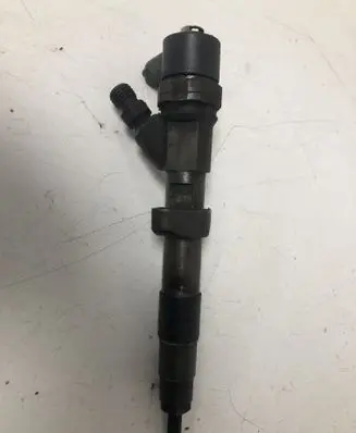 Renault Espace - Grand espace IV Fuel injector 0445110084