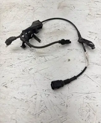 Other wiring loom