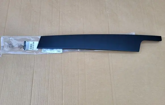 Renault Scenic III - Grand scenic III Trim molding 802840008RRANZEZ