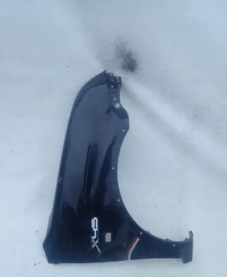 Suzuki Ignis Fender
