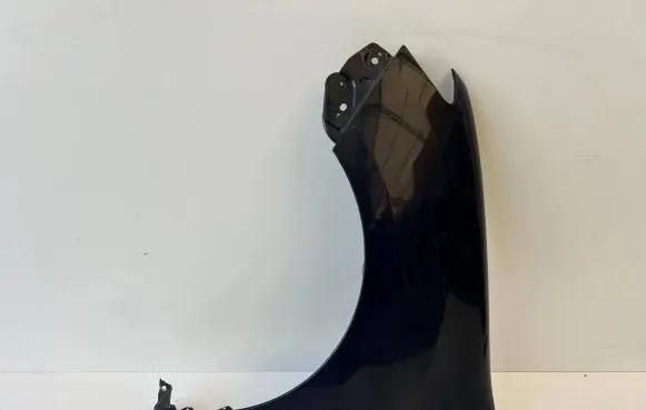 Renault Sandero II Fender 123456076