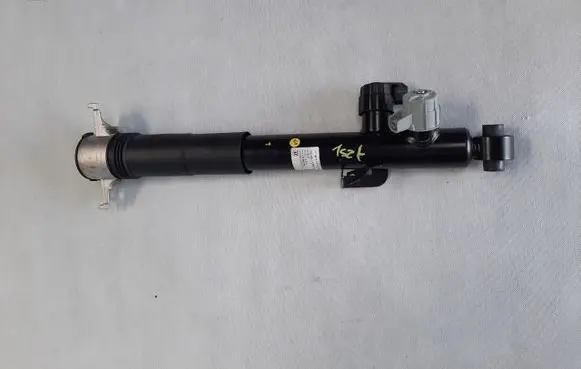 Porsche Cayenne (9Y0 9Y3) Rear shock absorber with coil spring 9Y0513027G