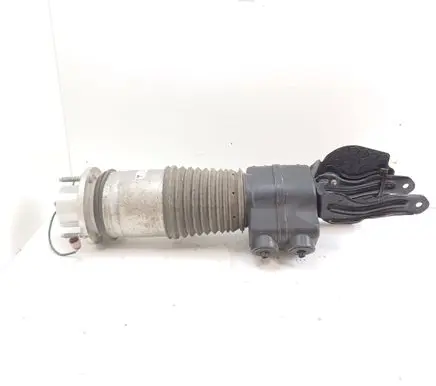 Porsche Taycan 9J1 Front air suspension shock absorber 9J1616038E
