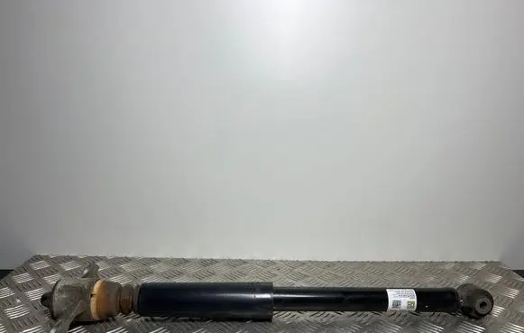 Hyundai Kona I Rear shock absorber/damper 55300J9350