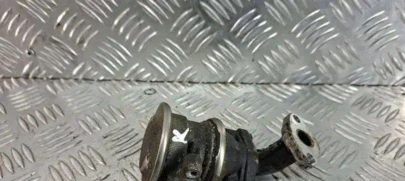EGR valve
