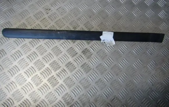 Ford Fusion Rear door trim (molding)