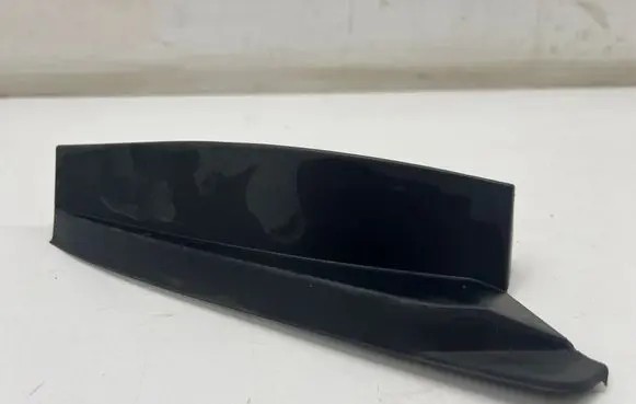 Rear/tail light trim molding