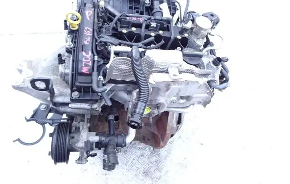 Ford Focus Engine M2DC