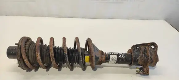 Land Rover Freelander Rear shock absorber with coil spring 22103900 101640
