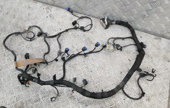 Ford Kuga III Other wiring loom