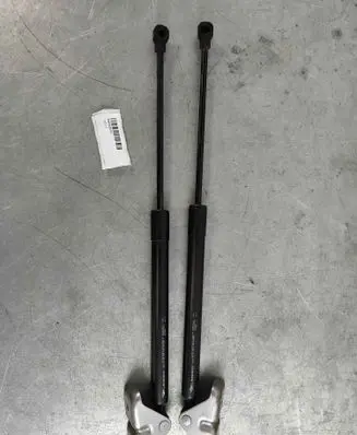 Tailgate/trunk strut/damper