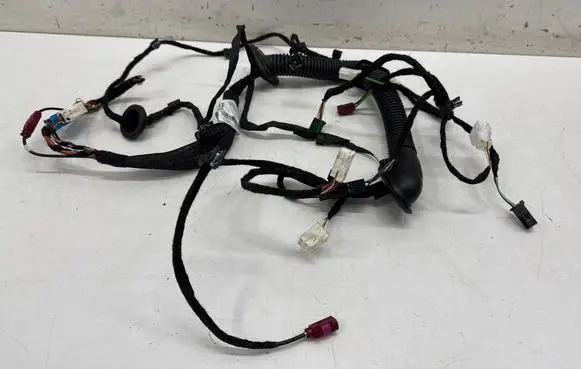 Front door wiring loom