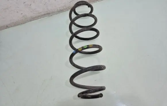 Rear coil spring