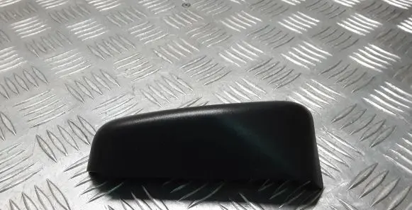 Rear/tail light trim molding