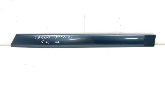 Rear door trim (molding)
