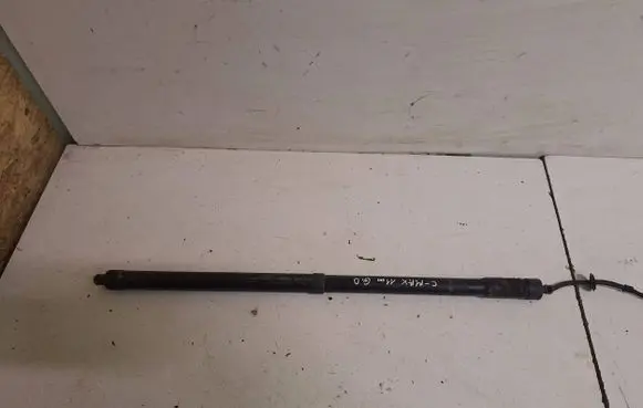 Ford C-MAX II Tailgate strut 09WW5
