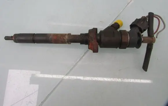 Citroen C4 I Fuel injector 0445110311
