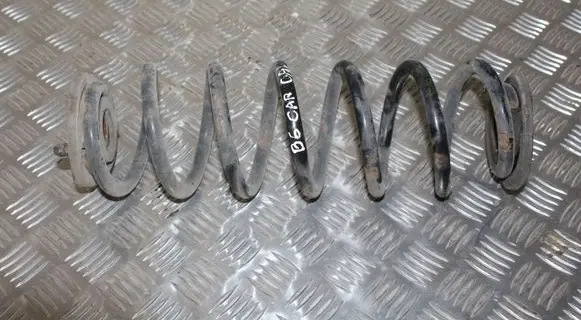 Volkswagen PASSAT B6 Rear coil spring