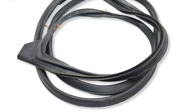 Toyota C-HR I Rubber seal rear door 67872F4010