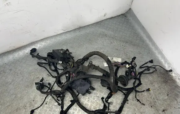 Nissan Juke I F15 Engine installation wiring loom 