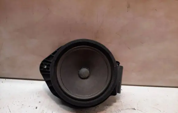 Opel Insignia A Front door speaker 22759392 434107864991